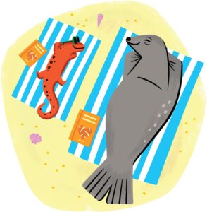 Lizard and seal relaxing on the beach