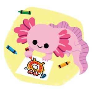 Axolotl colouring